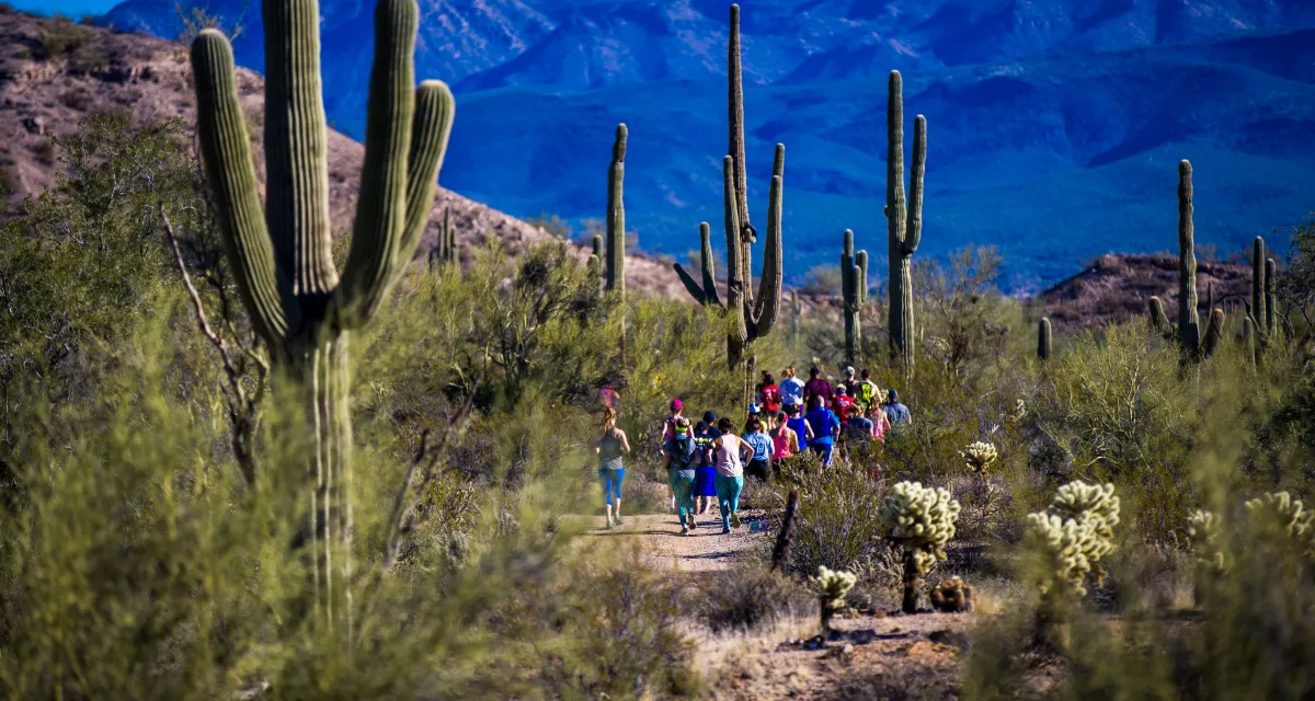 Trail Arizona