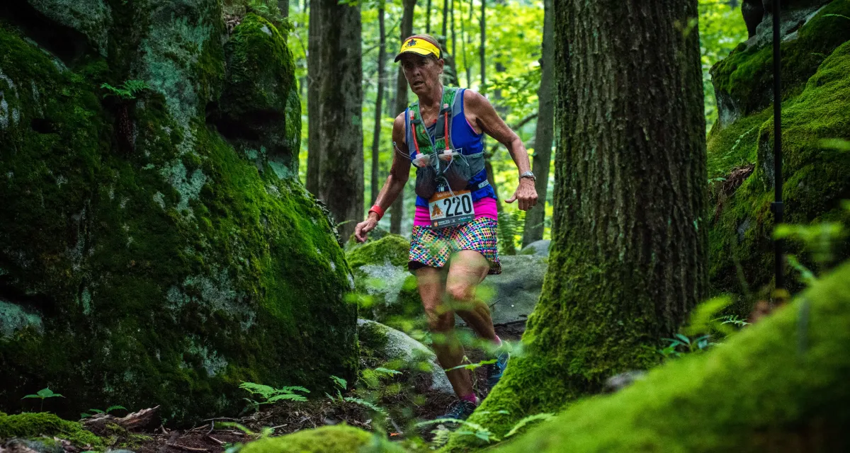 Trail Appalachians gallery image 3