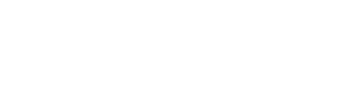 logo-image